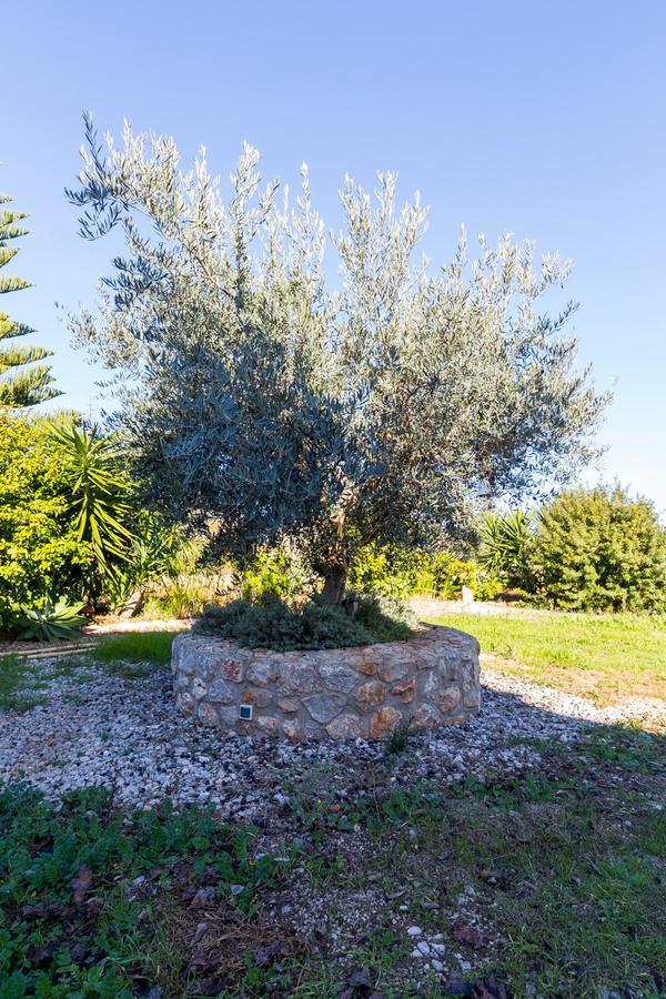 Can Tut Campanet Εξωτερικό φωτογραφία